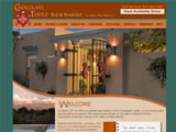 Chocolate Turtle (New Site)